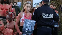 Le juge est une femme S23E04 Mise à mort