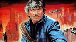 Visuel de Le justicier de New York