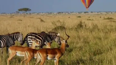 Le Kenya en montgolfière