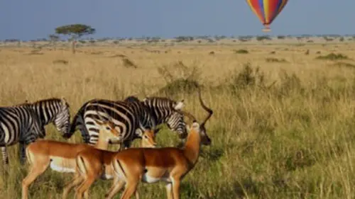 Le Kenya en montgolfière