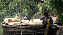 Le labyrinthe des dieux