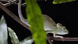 Le Labyrinthe secret de Namoroka