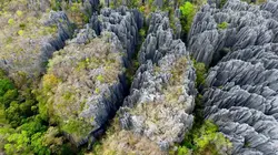 Le Labyrinthe secret de Namoroka