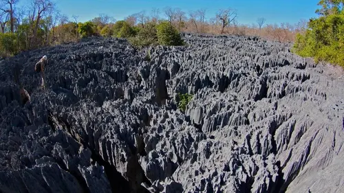Le Labyrinthe secret de Namoroka