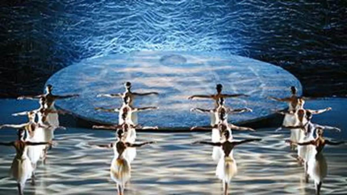 Le Lac des cygnes