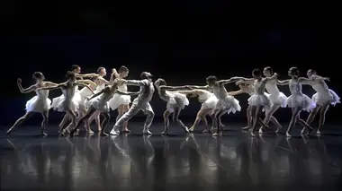 Le Lac des cygnes