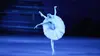 Le lac des cygnes (Ballet du Bolchoï)