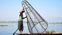 Visuel de Le lac Inle, une vie sur pilotis