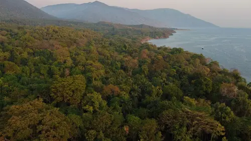 Le lac Tanganyika, géant africain Sous la surface