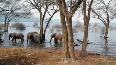 Le lac Tanganyika, géant africain