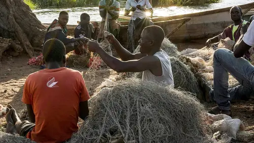 Épisodes de Le lac Tanganyika, géant africain