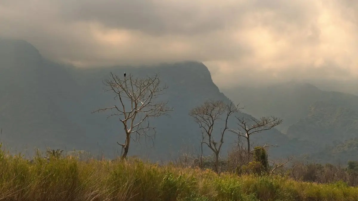 Le lac Tanganyika, la source de vie de l'Afrique