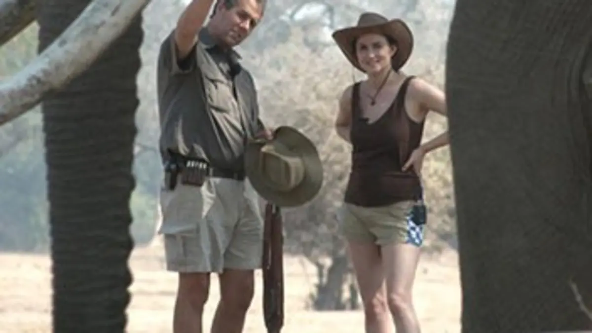 Le langage des animaux