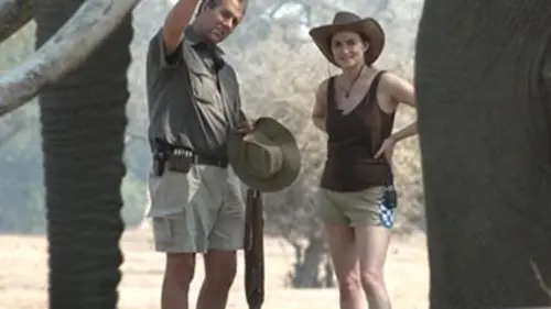 Le langage des animaux