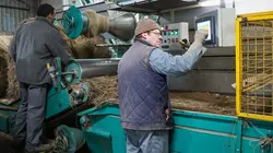 Le lin, sur le fil de l'innovation