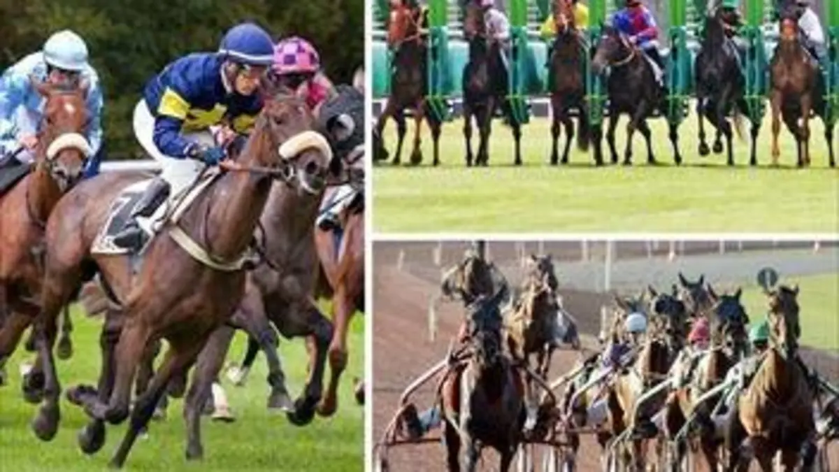 Le live du Quinté+ Réunion de Paris Vincenne (trot)