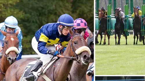 Le live du Quinté+ Réunion de Saint-Cloud (plat)