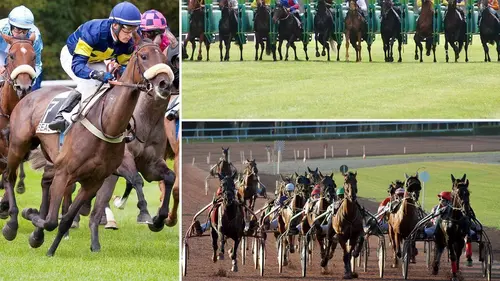Le live du Quinté+ Réunion de Auteuil (obstacle)
