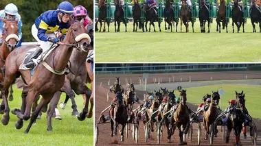 Le live du Quinté+ Réunion de Enghien (trot)