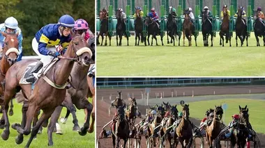 Le live du Quinté+ Réunion de Paris-Vincennes (trot)