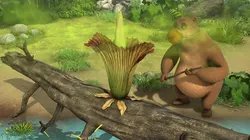 Sur Piwi+ à 20h10 : Le livre de la jungle