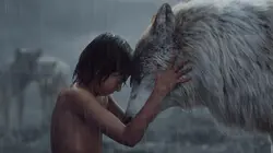 Le livre de la jungle