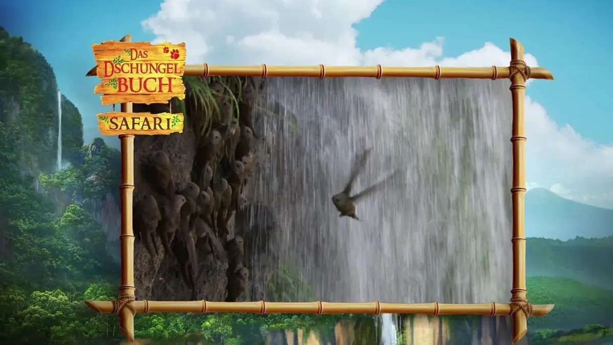 Le livre de la jungle : mission safari S01E06 Les animaux du pôle Nord