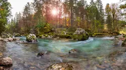 Visuel de Le long des rives de la Loisach