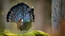 Le long des rives de la Loisach