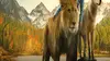 Le loup et le lion