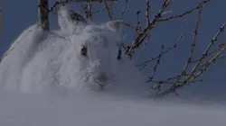 Le Lungau, la magie des Alpes autrichiennes