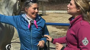 Le travail au sol (7)