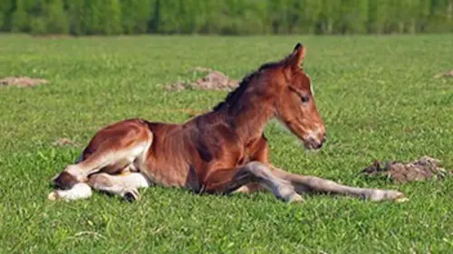 Le mag'etho La peur (5)