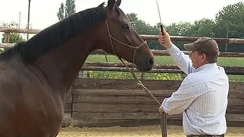 Le mag'etho Le débourrage (3)