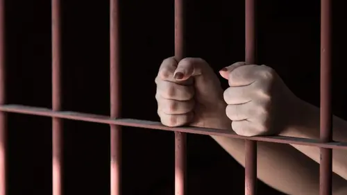 Le magot Main basse sur le magot