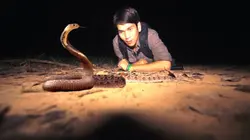 Le maître des serpents