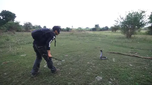 Le Maître des serpents Fermiers contre serpents