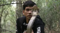 Le maître des serpents