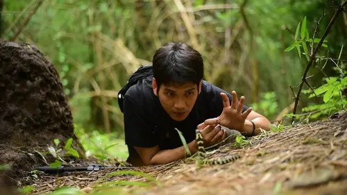 Le Maître des serpents Le cobra cracheur d'Indochine