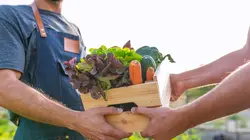 Le Marché fermier de l'Oise