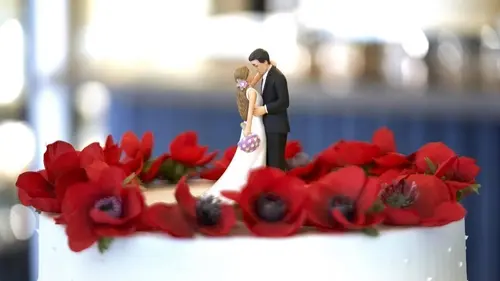 Casting Le mariage de mon ex-fiancé