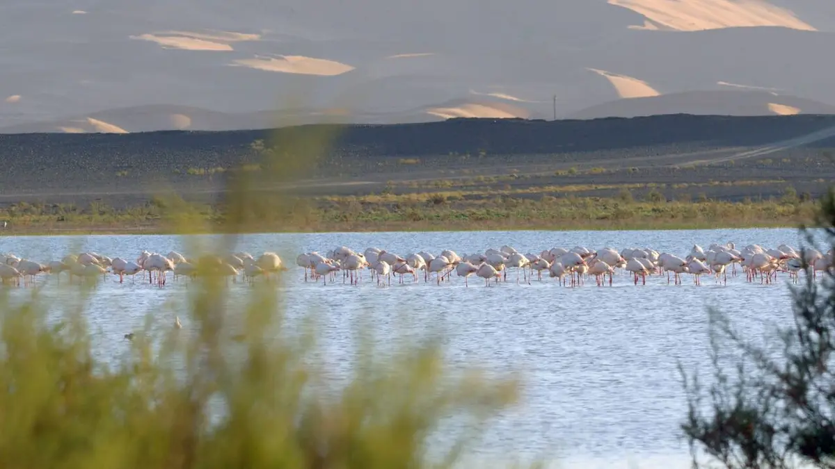 Le Maroc sauvage Le Nord verdoyant