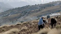 Le Maroc sauvage Le Nord verdoyant