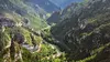 2025 • Le Massif central, poumon vert de la France