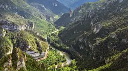 Le Massif central, poumon vert de la France