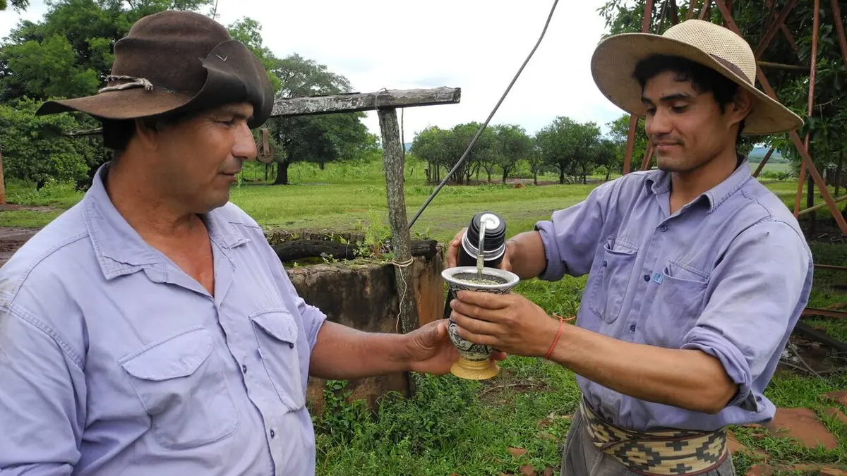 Le maté, l'élixir des Argentins