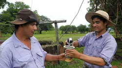 Le maté, l'élixir des Argentins