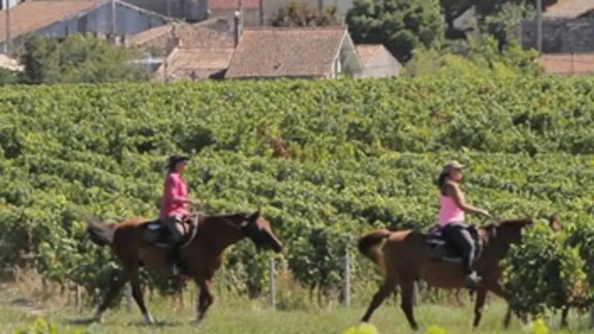 Le Médoc, une pointe de liberté
