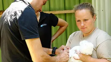 Le meilleur d'une saison au zoo