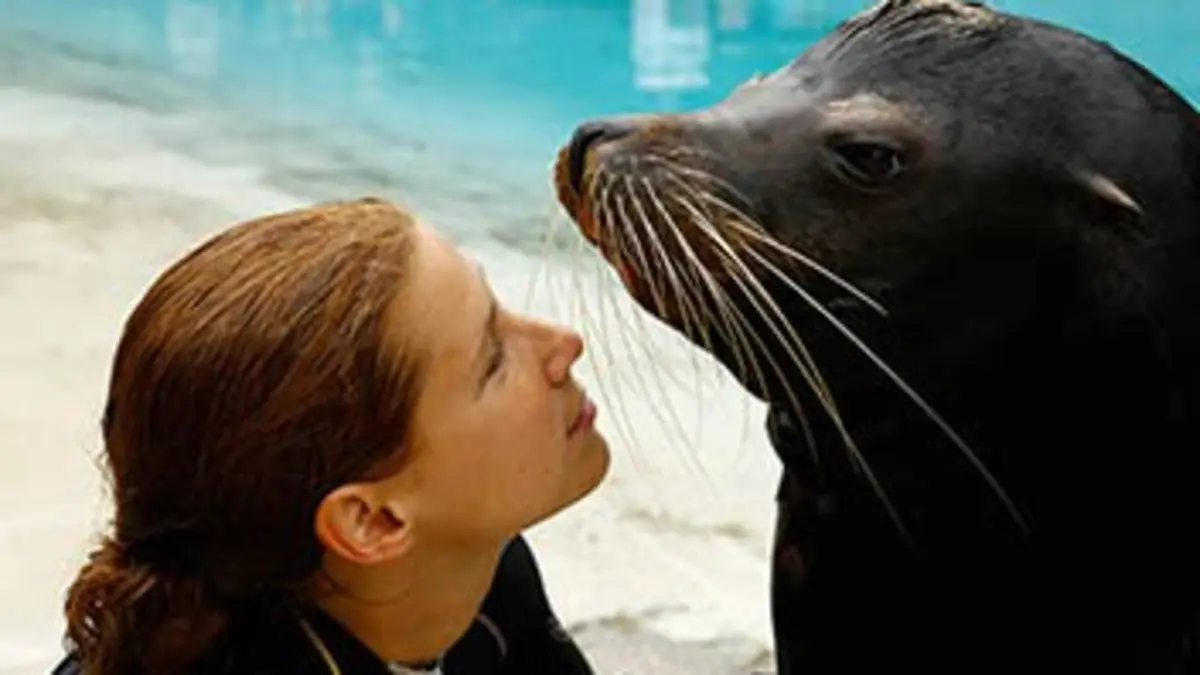 Le meilleur d'une saison au zoo E04